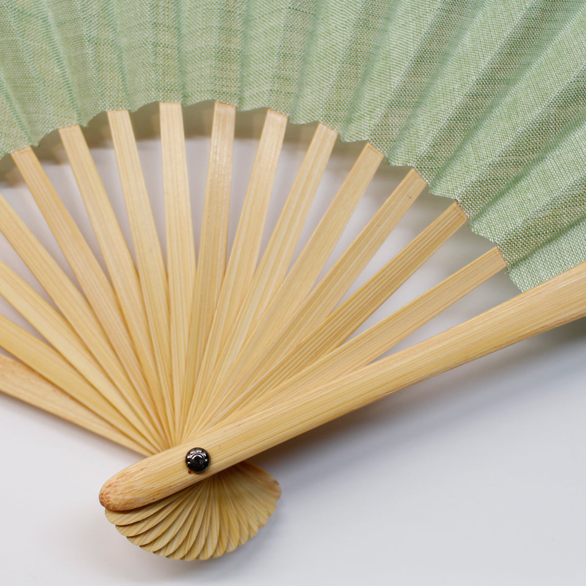 縮扇子 シェル型 無地 浅緑