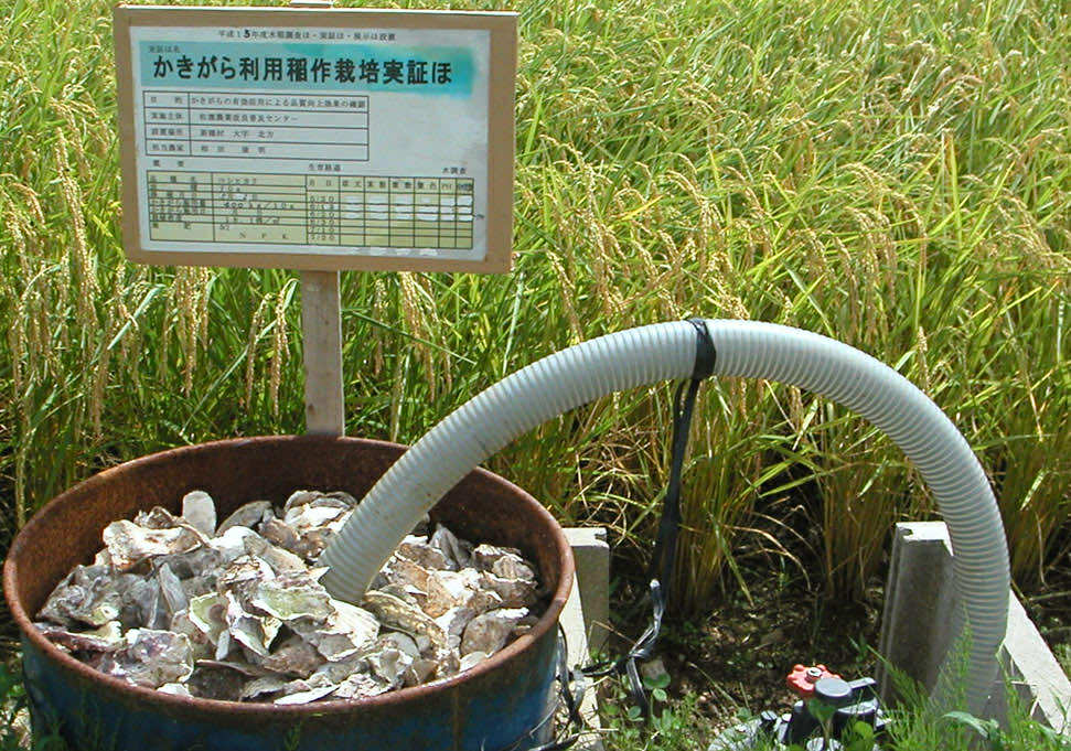 相田ライス 佐渡スーパーコシヒカリ 白米1kg