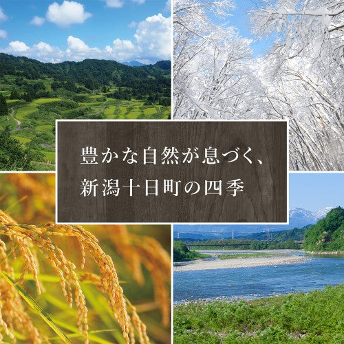 TOIRO 米粉ろおる 雪国緑茶