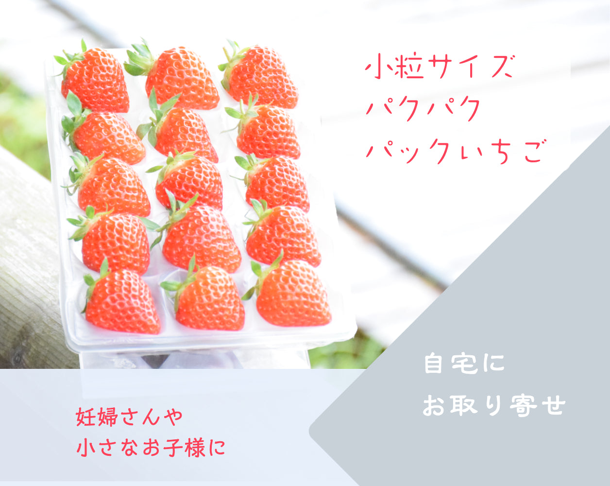 越後姫170g入り2pセット パクパクパック