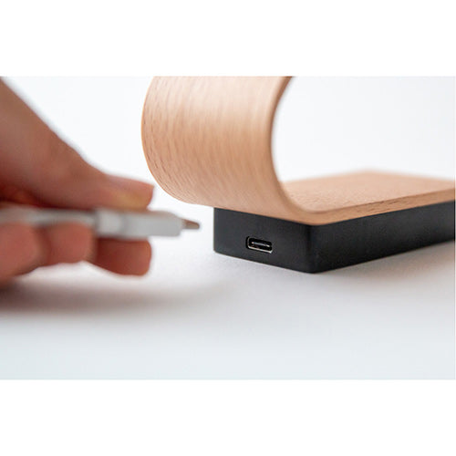 TANZAKU ランプ アーチ