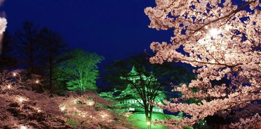春の新潟旅へ！桜の名所＆お花見と一緒に楽しみたいご当地名物をご紹介！