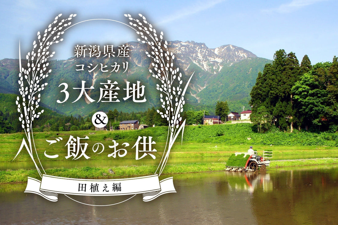 新潟県産コシヒカリ×ご飯のお供をお取り寄せで味わおう！（田植え編）