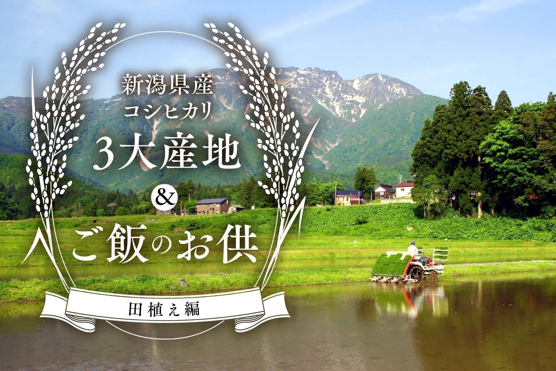 新潟県産コシヒカリ×ご飯のお供をお取り寄せで味わおう！（田植え編