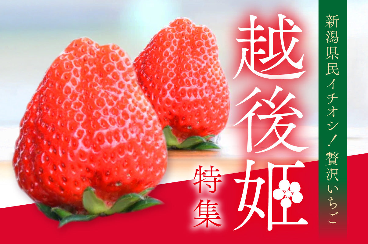 新潟県民イチオシ！贅沢いちご「越後姫」特集！ – 銀座・新潟情報館
