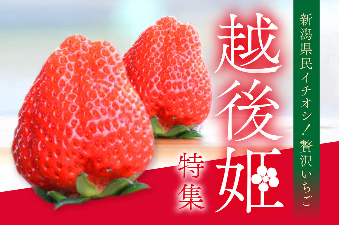 新潟県民イチオシ！贅沢いちご「越後姫」特集！