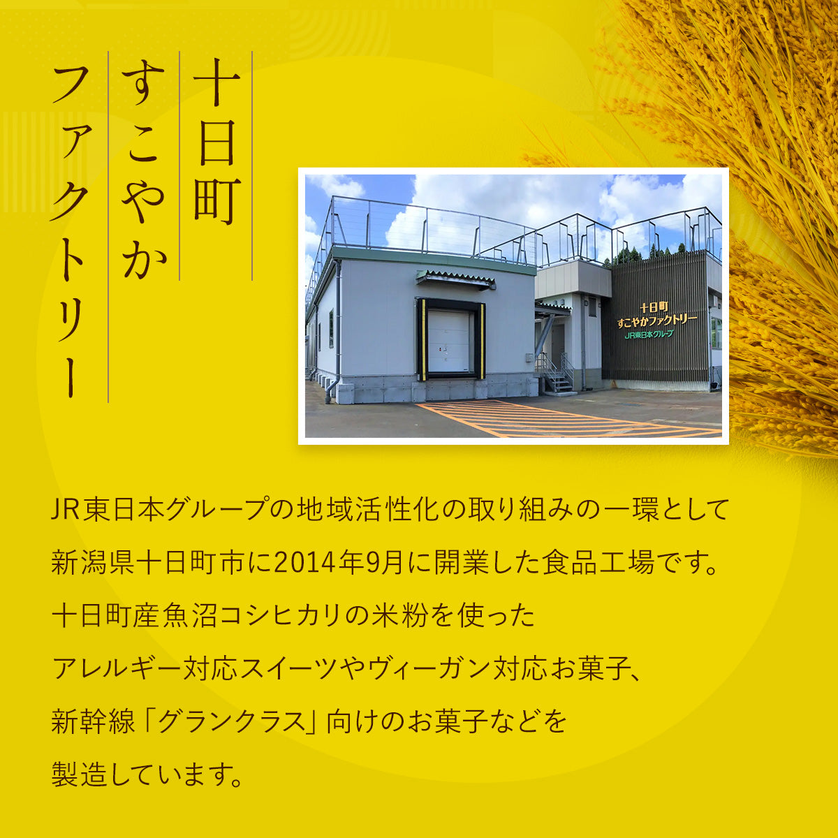 TOIRO PREMIUM KOMEKO FRUITS SNOWBALL　紙袋付き