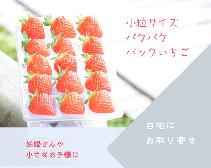 越後姫170g入り2pセット　パクパクパック